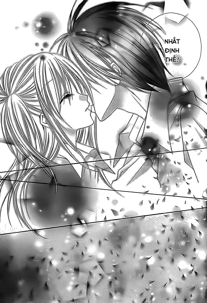 Bí mật xương rồng: Chapter 17