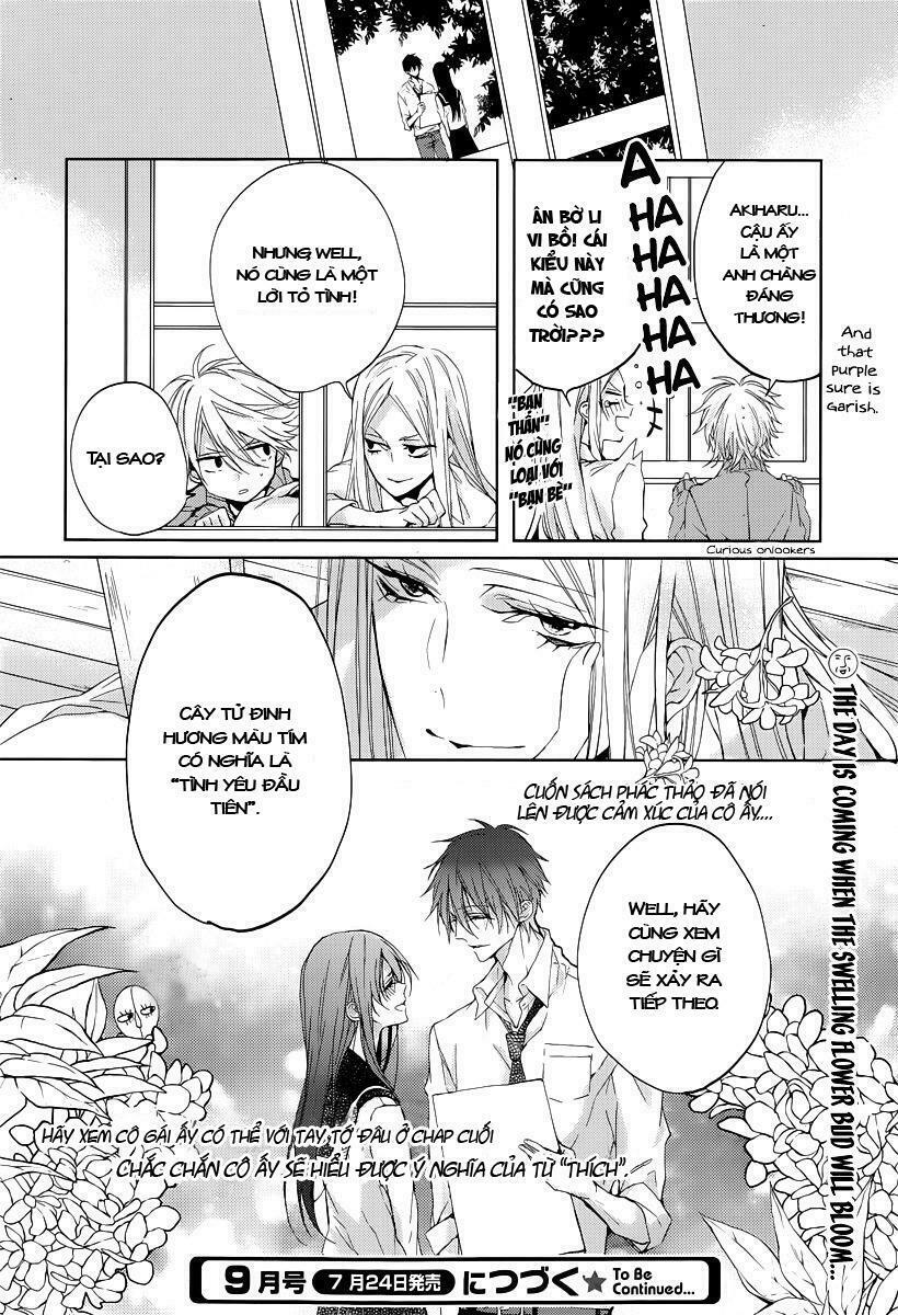Hatsukoi Canvas: Chapter 1: One shot