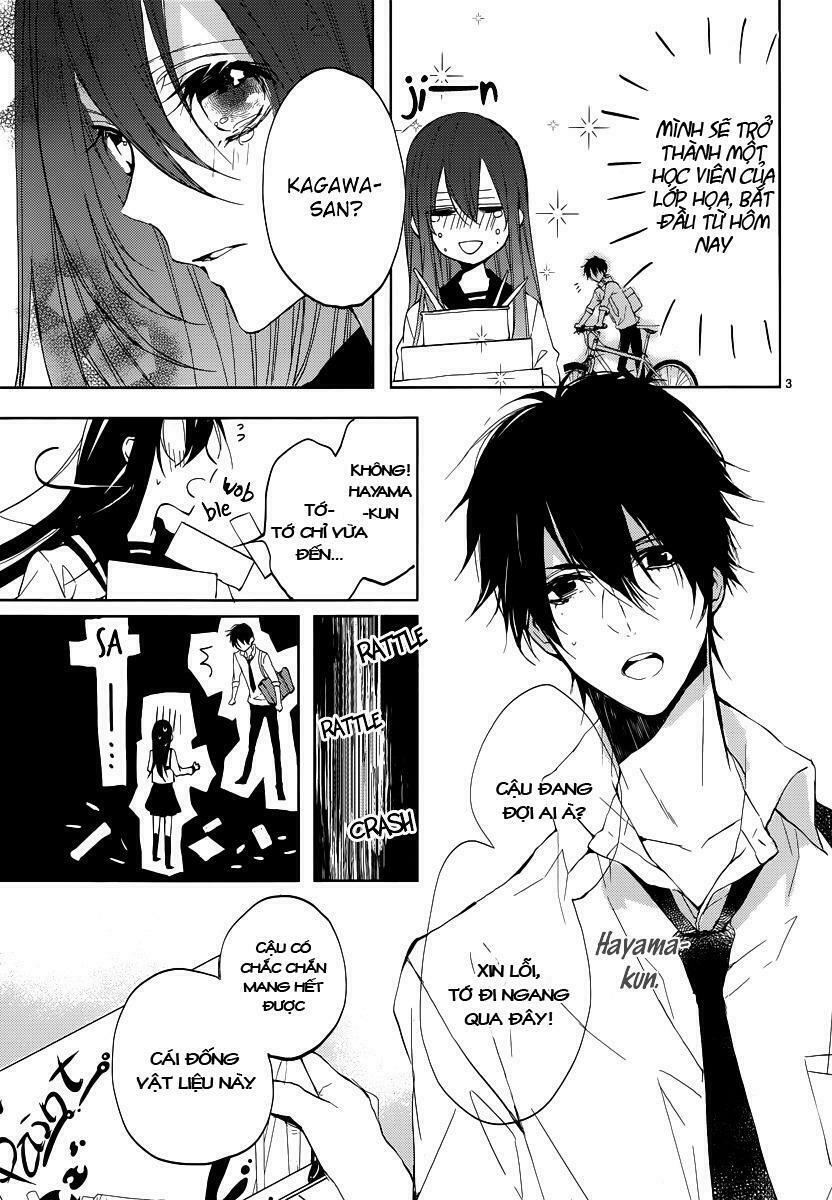 Hatsukoi Canvas: Chapter 1: One shot