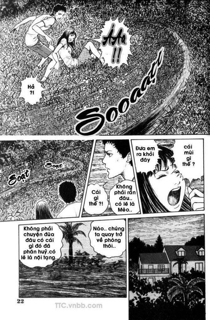 Quái vật biển: Chapter 1