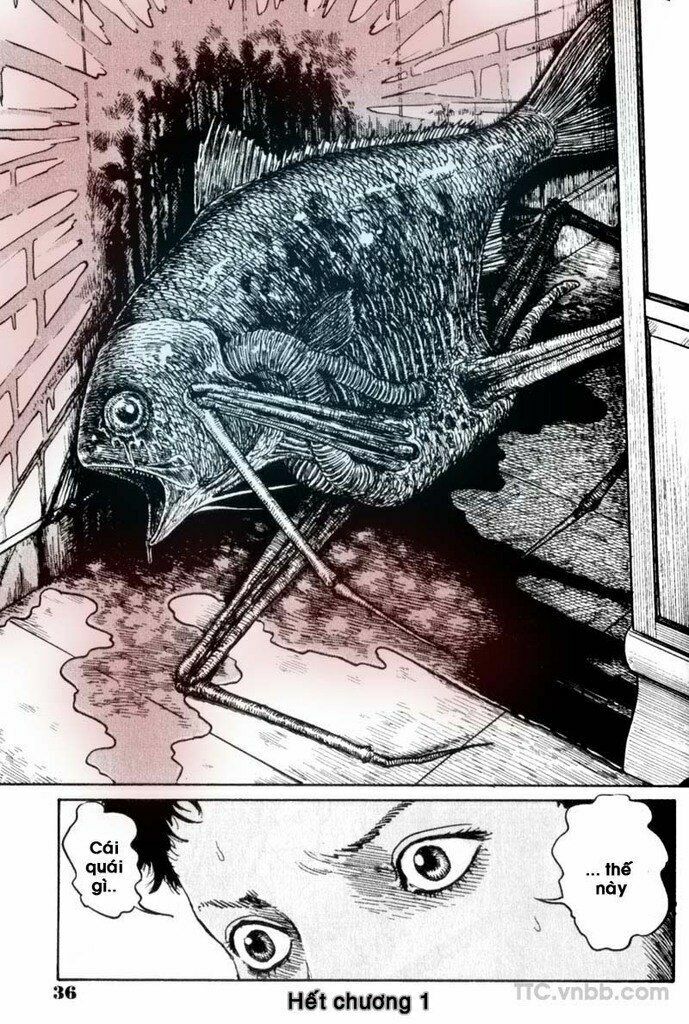 Quái vật biển: Chapter 1