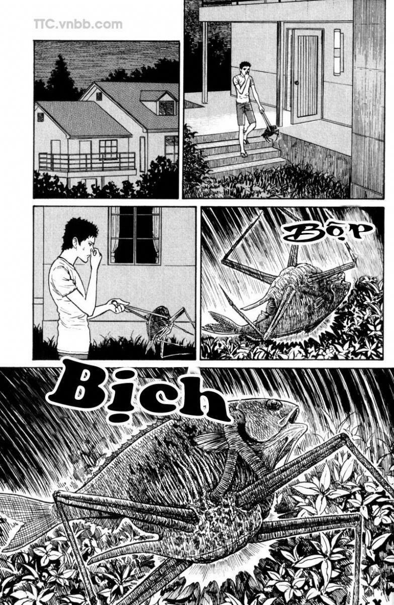 Quái vật biển: Chapter 2