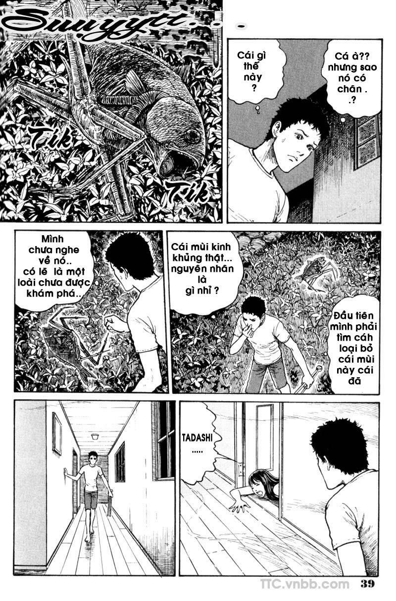 Quái vật biển: Chapter 2