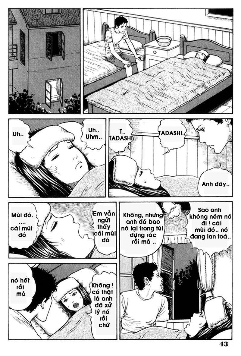Quái vật biển: Chapter 2