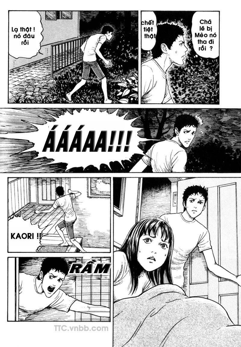 Quái vật biển: Chapter 2