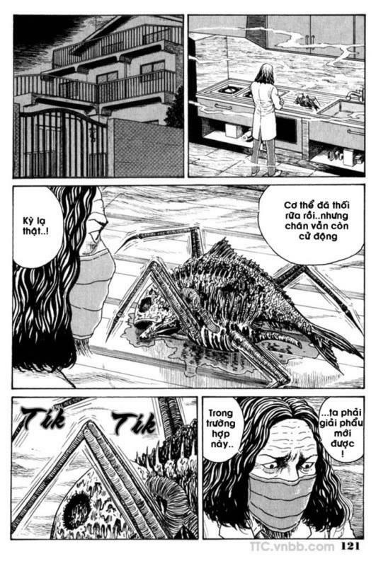 Quái vật biển: Chapter 6