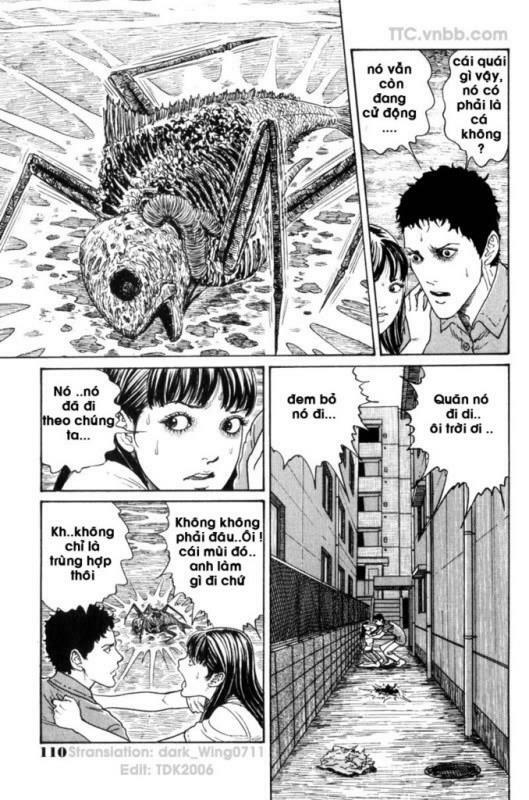 Quái vật biển: Chapter 6