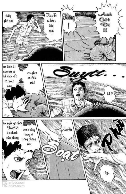 Quái vật biển: Chapter 8