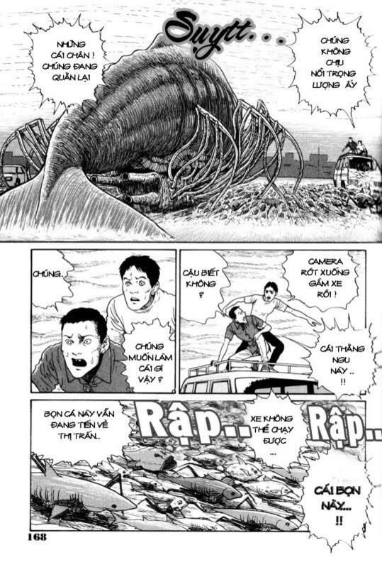 Quái vật biển: Chapter 9