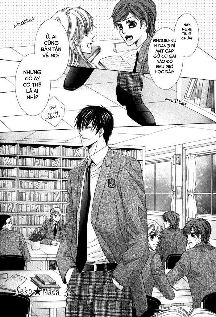 Neko Mata: Chapter 3