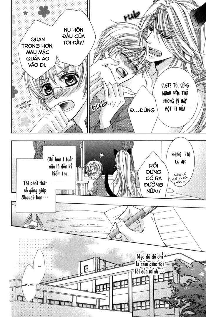 Neko Mata: Chapter 3