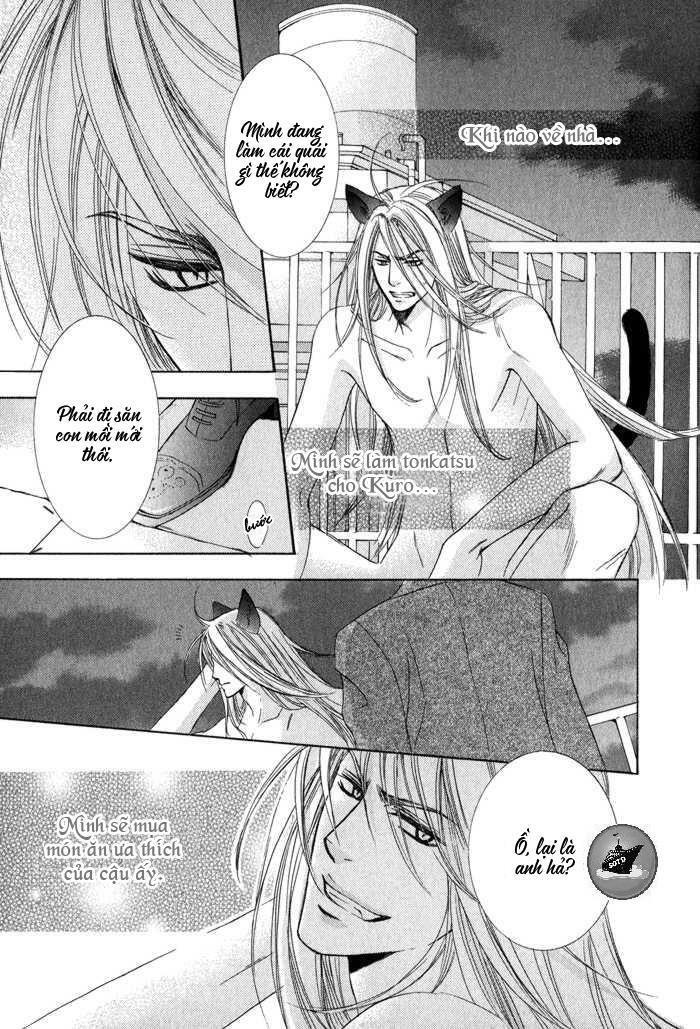 Neko Mata: Chapter 5