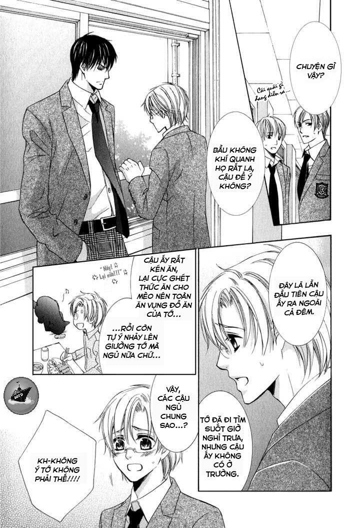 Neko Mata: Chapter 5