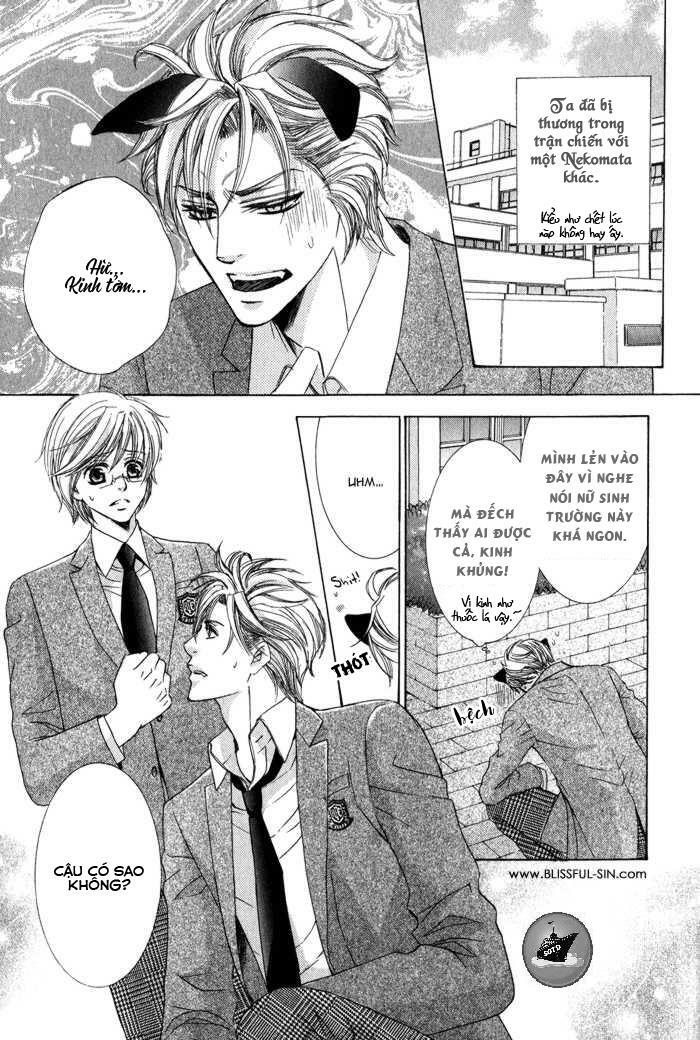 Neko Mata: Chapter 6: + extra [END]