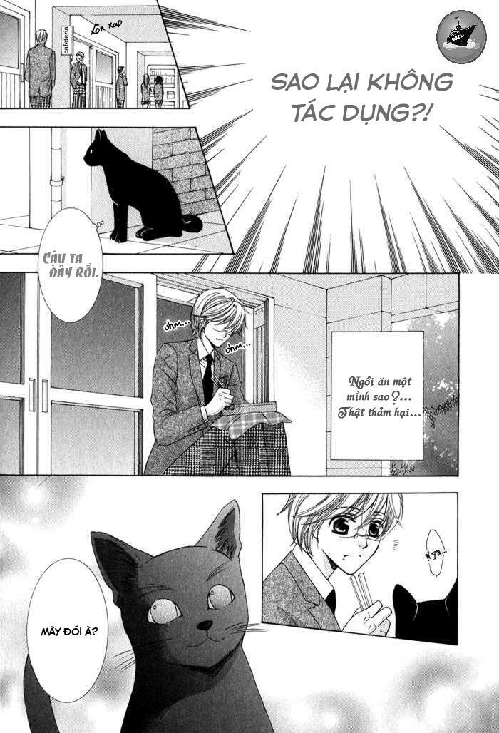Neko Mata: Chapter 6: + extra [END]
