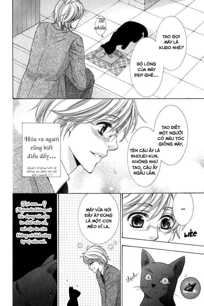 Neko Mata: Chapter 6: + extra [END]