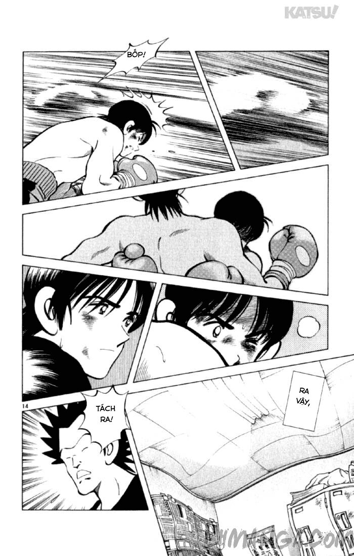 Katsu!: Chapter 156
