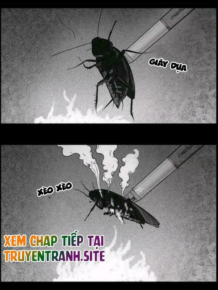 Những Câu Chuyện Kinh Dị Ở Trung Học Tây Lăng: Chapter 22