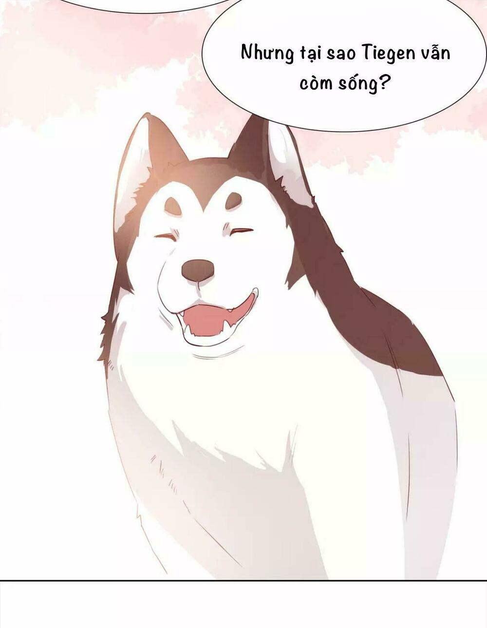 Vương Diệp, Đuôi Của Ngươi Đã Biến Mất: Chapter 13