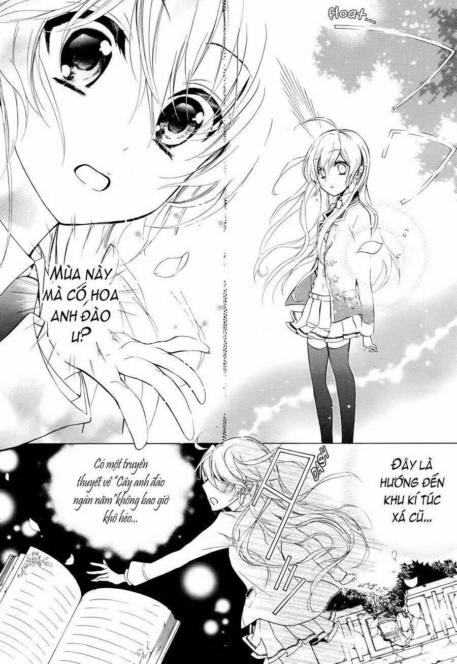 Super Darling!: Chapter 1: - Sakuya- bông hoa ấy- một vẻ đ ...