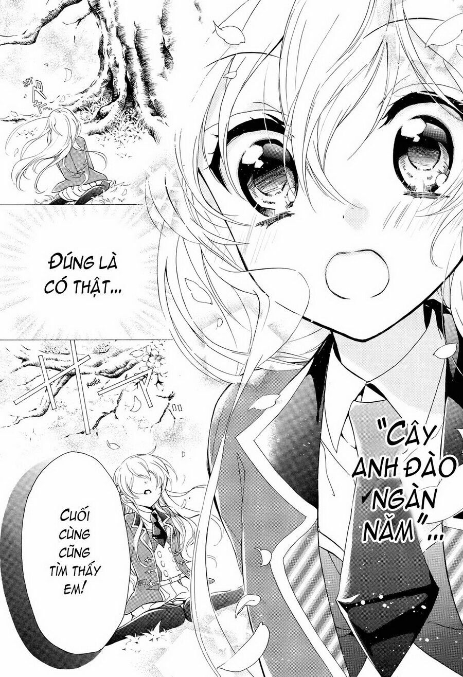 Super Darling!: Chapter 1: - Sakuya- bông hoa ấy- một vẻ đ ...