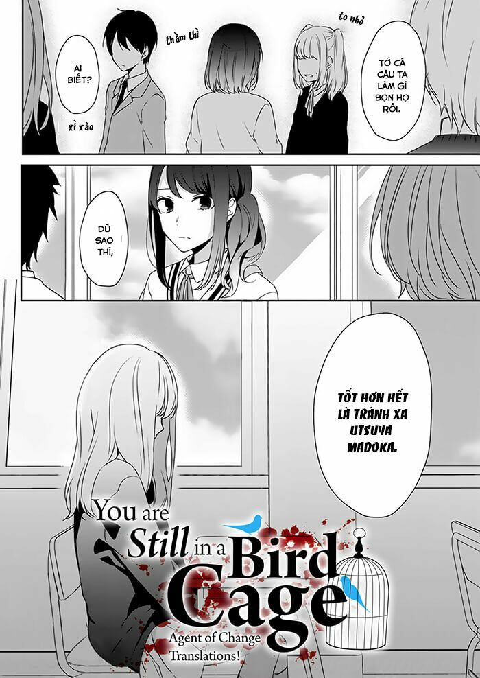 You Are Still In A Bird Cage: Chapter 1