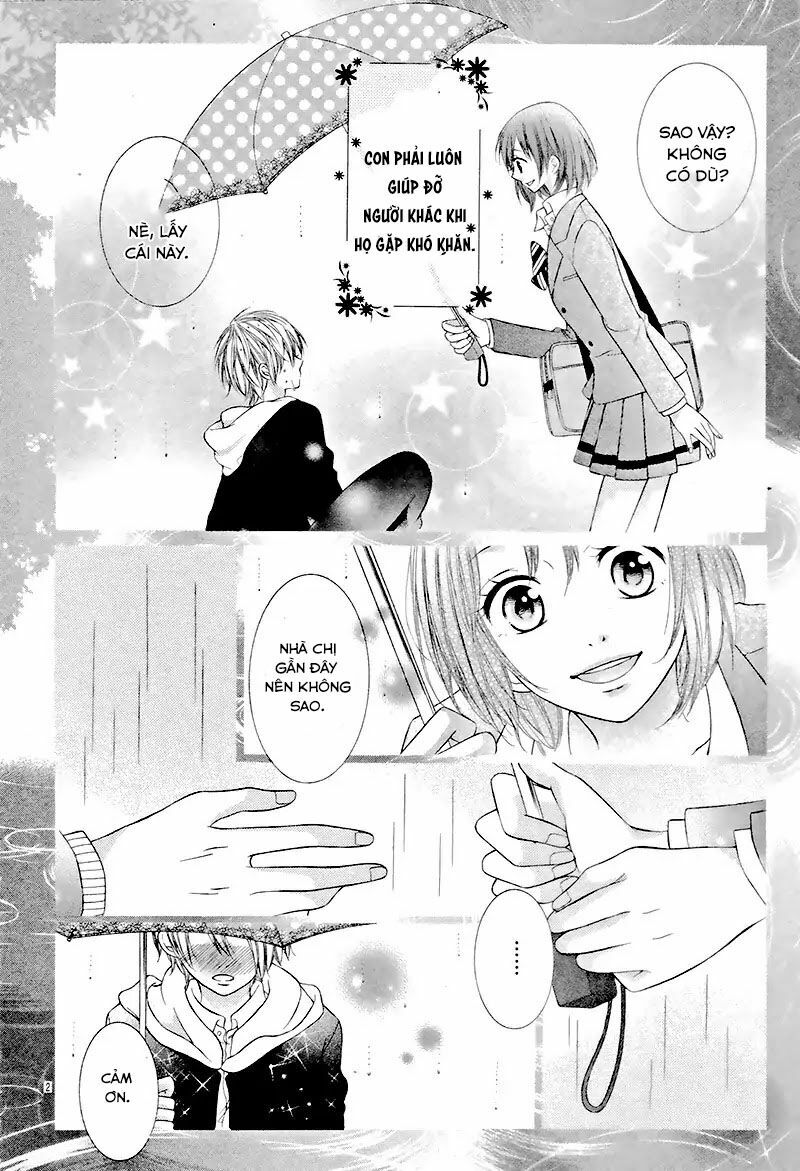 Zettai, Kimi to Kekkon Senken: Chapter 1: One shot