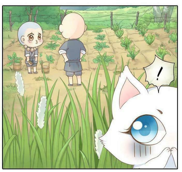 Tiểu Hồ Ly vs Tiểu Hóa Thượng: Chapter 1