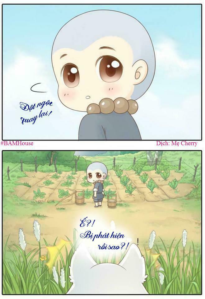 Tiểu Hồ Ly vs Tiểu Hóa Thượng: Chapter 1