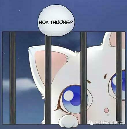 Tiểu Hồ Ly vs Tiểu Hóa Thượng: Chapter 11