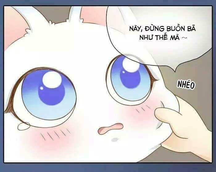 Tiểu Hồ Ly vs Tiểu Hóa Thượng: Chapter 14