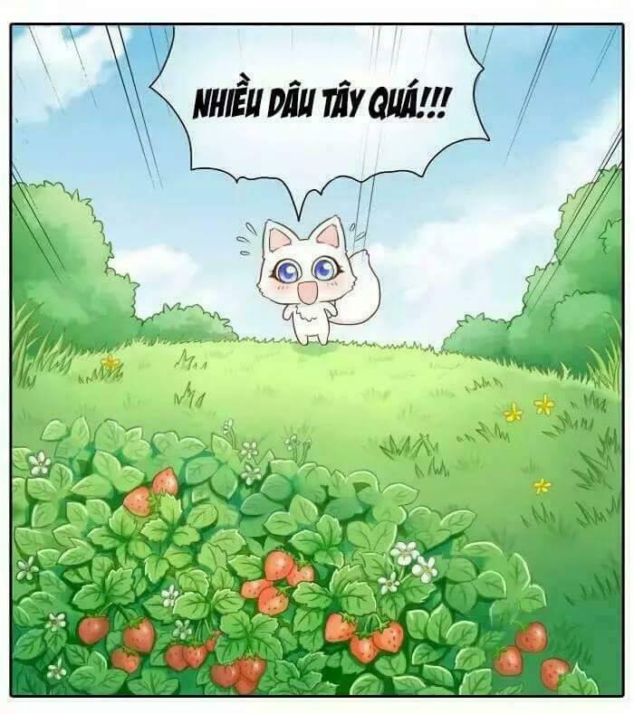 Tiểu Hồ Ly vs Tiểu Hóa Thượng: Chapter 14