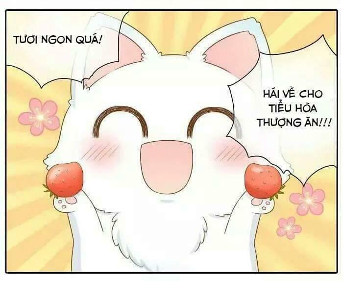 Tiểu Hồ Ly vs Tiểu Hóa Thượng: Chapter 14