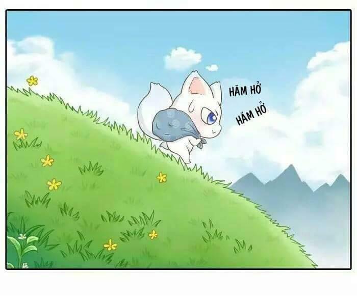 Tiểu Hồ Ly vs Tiểu Hóa Thượng: Chapter 14