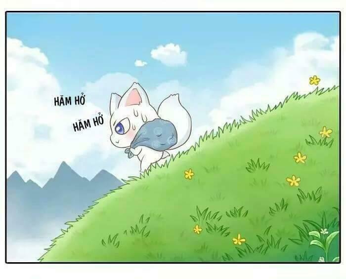 Tiểu Hồ Ly vs Tiểu Hóa Thượng: Chapter 14