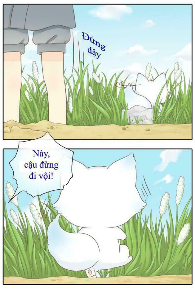Tiểu Hồ Ly vs Tiểu Hóa Thượng: Chapter 2