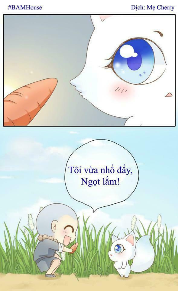 Tiểu Hồ Ly vs Tiểu Hóa Thượng: Chapter 2