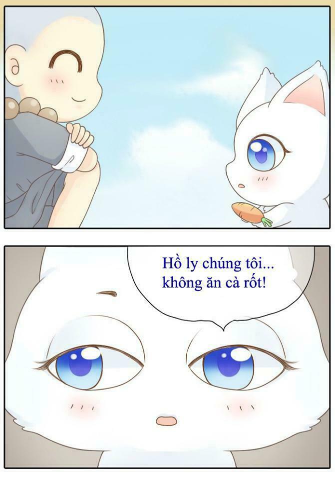 Tiểu Hồ Ly vs Tiểu Hóa Thượng: Chapter 2