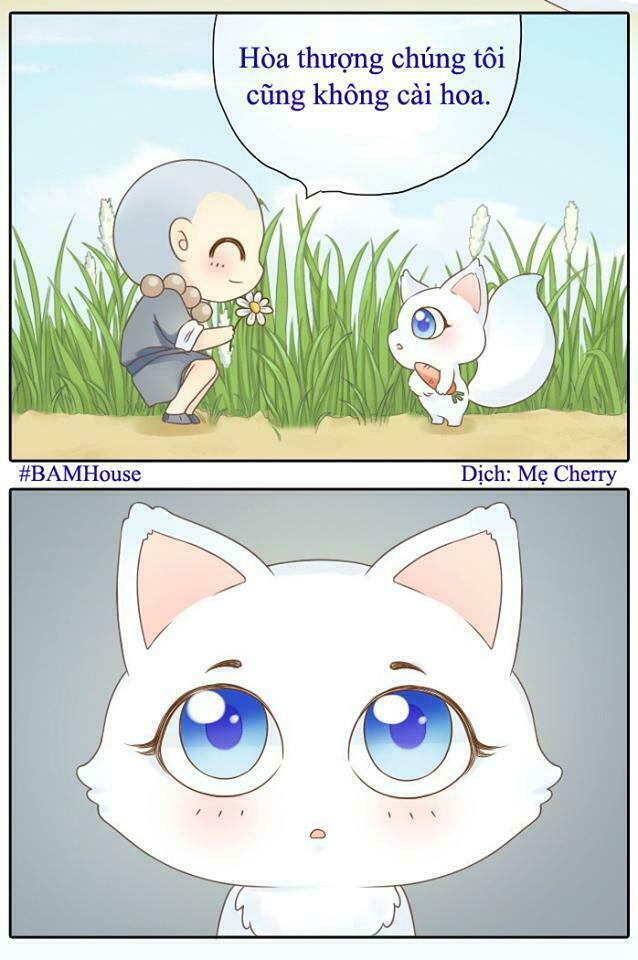 Tiểu Hồ Ly vs Tiểu Hóa Thượng: Chapter 2