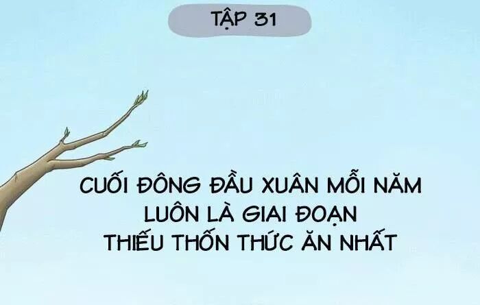 Tiểu Hồ Ly vs Tiểu Hóa Thượng: Chapter 31