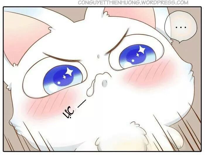 Tiểu Hồ Ly vs Tiểu Hóa Thượng: Chapter 31