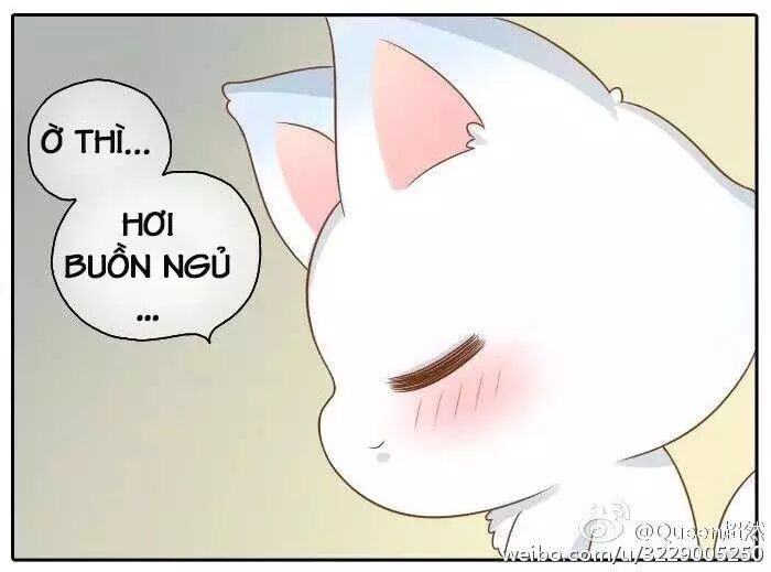 Tiểu Hồ Ly vs Tiểu Hóa Thượng: Chapter 34