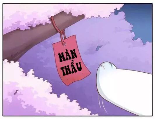 Tiểu Hồ Ly vs Tiểu Hóa Thượng: Chapter 35