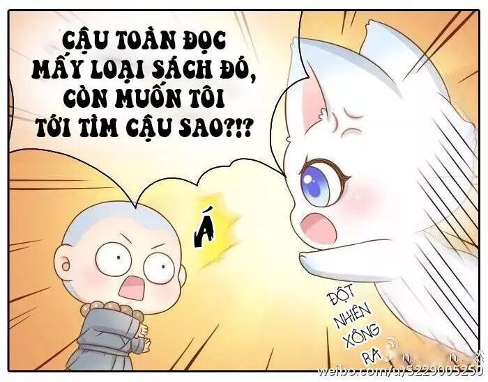 Tiểu Hồ Ly vs Tiểu Hóa Thượng: Chapter 36