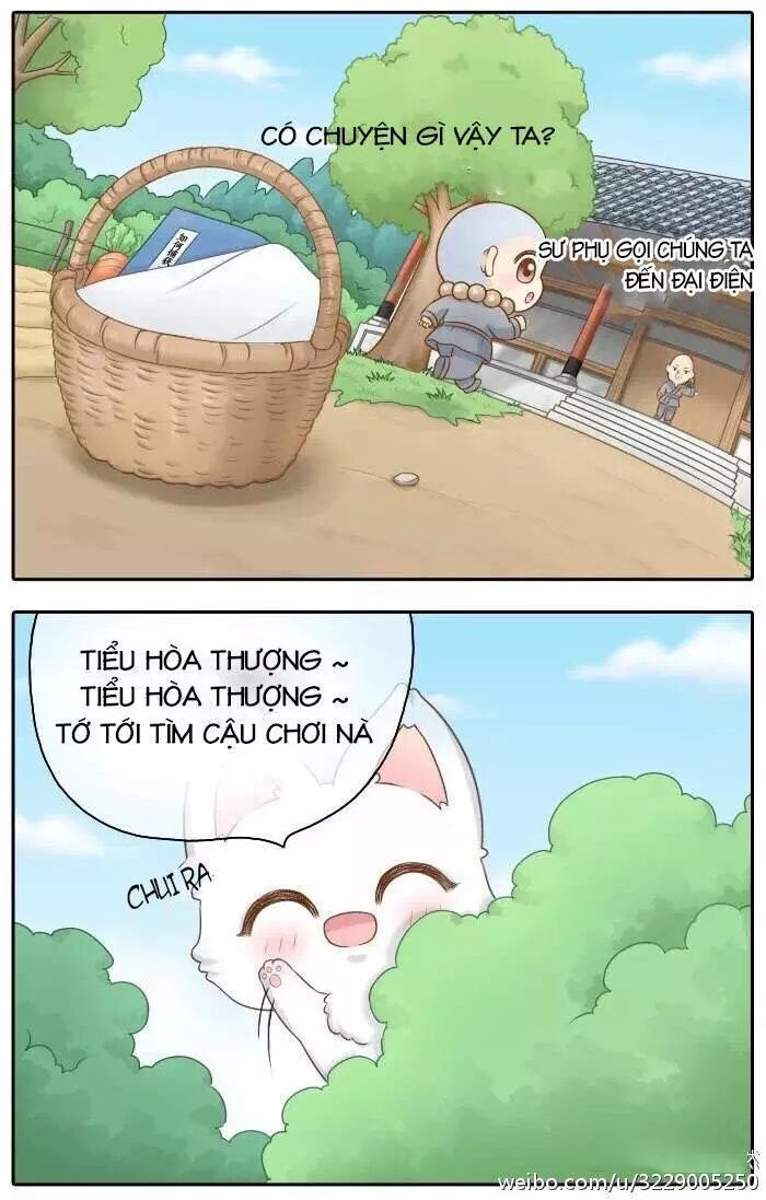 Tiểu Hồ Ly vs Tiểu Hóa Thượng: Chapter 36