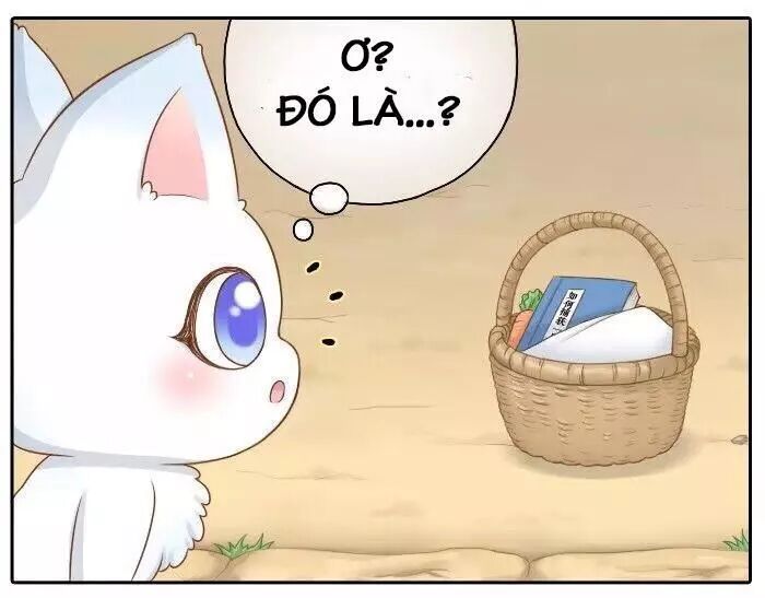 Tiểu Hồ Ly vs Tiểu Hóa Thượng: Chapter 36