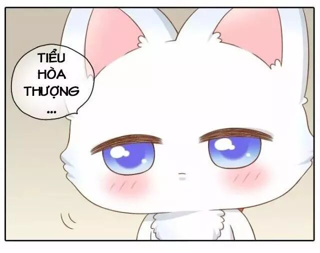 Tiểu Hồ Ly vs Tiểu Hóa Thượng: Chapter 37