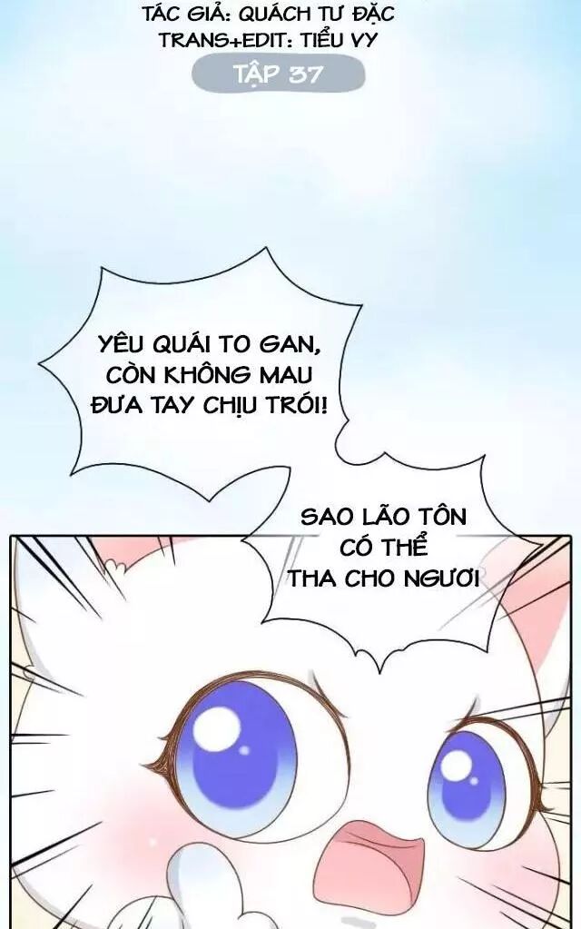 Tiểu Hồ Ly vs Tiểu Hóa Thượng: Chapter 37
