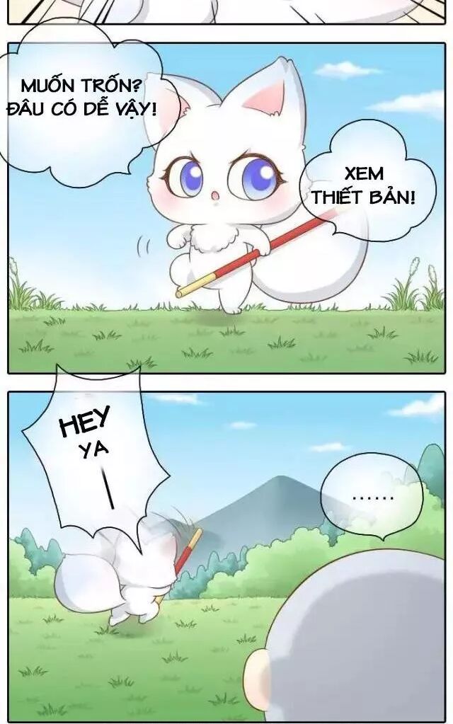 Tiểu Hồ Ly vs Tiểu Hóa Thượng: Chapter 37