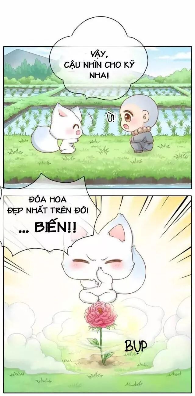 Tiểu Hồ Ly vs Tiểu Hóa Thượng: Chapter 38
